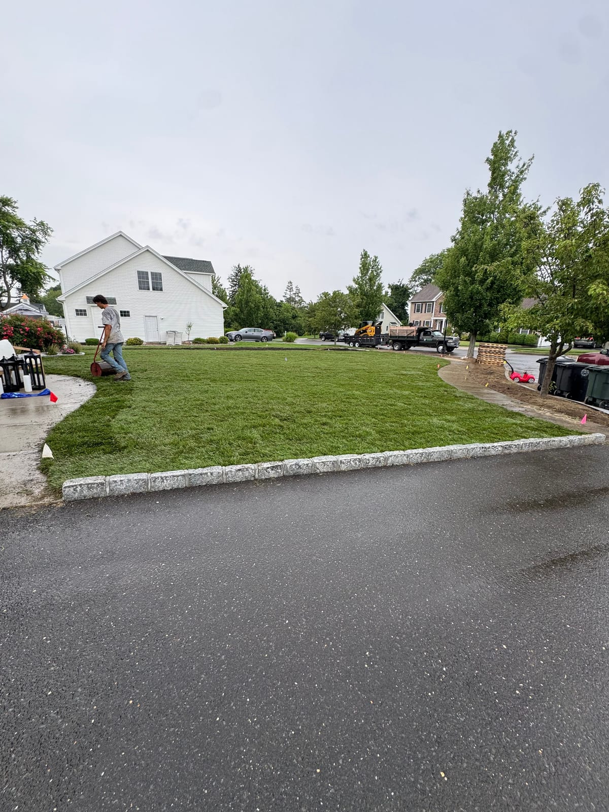 A crew member rolling the newly laid tall fescue front lawn in Milford, CT with a water-filled drum roller, the green sod running to the granite curb and the crew's truck and loader staged on the wet street