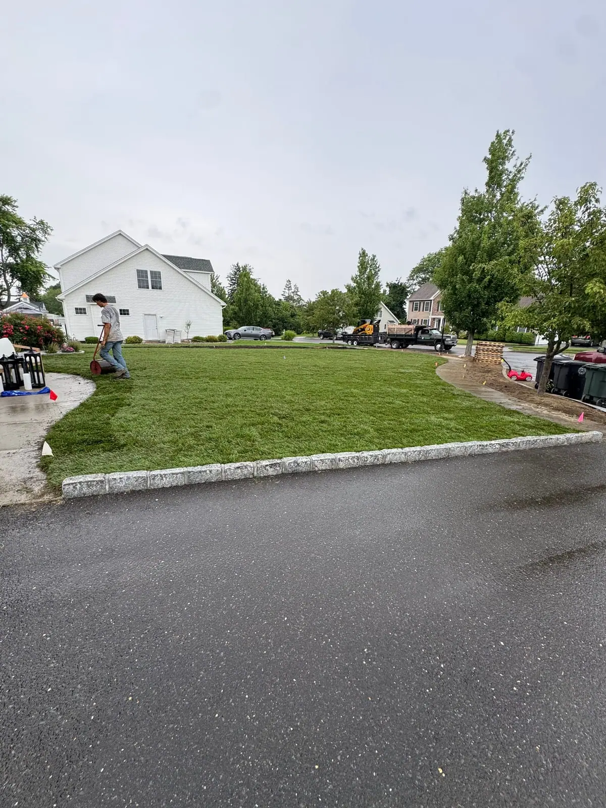 A crew member rolling the newly laid tall fescue front lawn in Milford, CT with a water-filled drum roller, the green sod running to the granite curb and the crew's truck and loader staged on the wet street