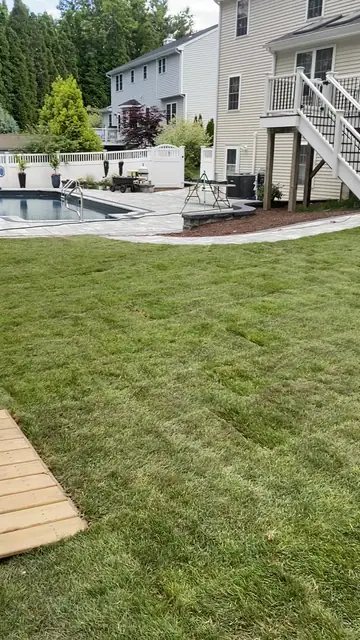 1,500 Sq Ft Kentucky Bluegrass Sod Around a New Pool Patio in Milford, CT