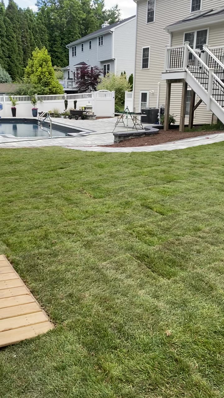 Finished Kentucky bluegrass lawn spread across the backyard with the new inground pool, paver patio, and raised deck behind it — a 1,500 sq ft sod installation in Milford, CT