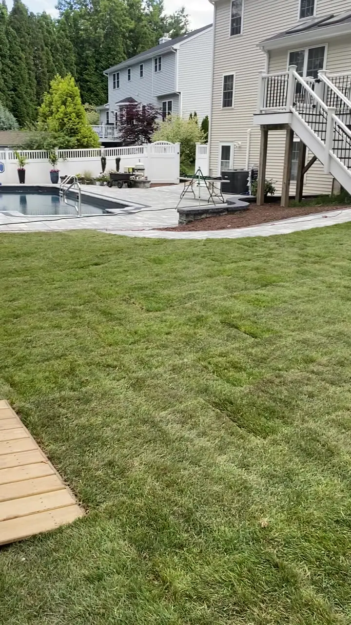 Finished Kentucky bluegrass lawn across a Milford, CT backyard with a new inground pool, paver patio, and raised deck behind it