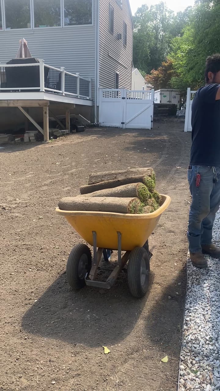 Fresh-cut Kentucky bluegrass sod rolls staged in a wheelbarrow on the prepped topsoil at the Milford, CT pool-patio project
