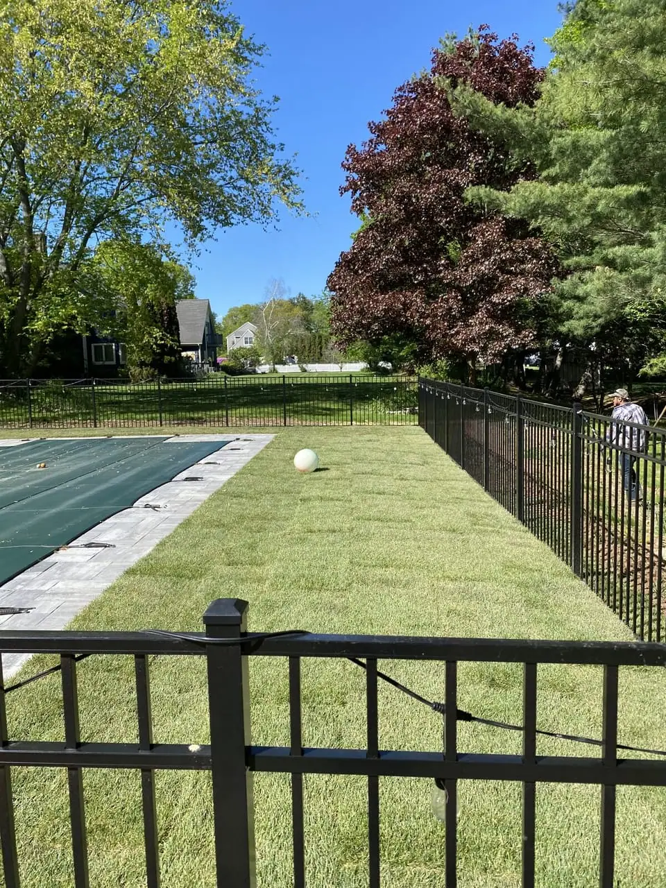 Finished green sod lawn alongside the inground pool in Milford, CT, with black metal fencing and mature trees behind it