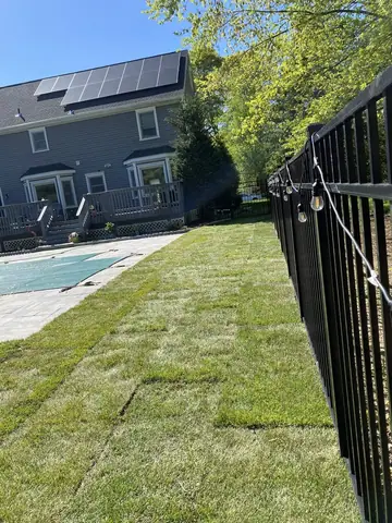 1,500 Square Foot Sod Installation in Milford, CT - Pool Surround Lawn