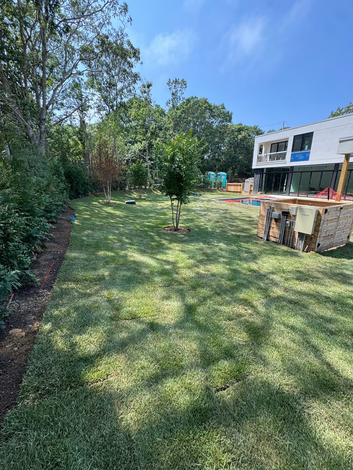 Finished sod lawn around a young maple tree at a CT Sod job in Montauk, NY