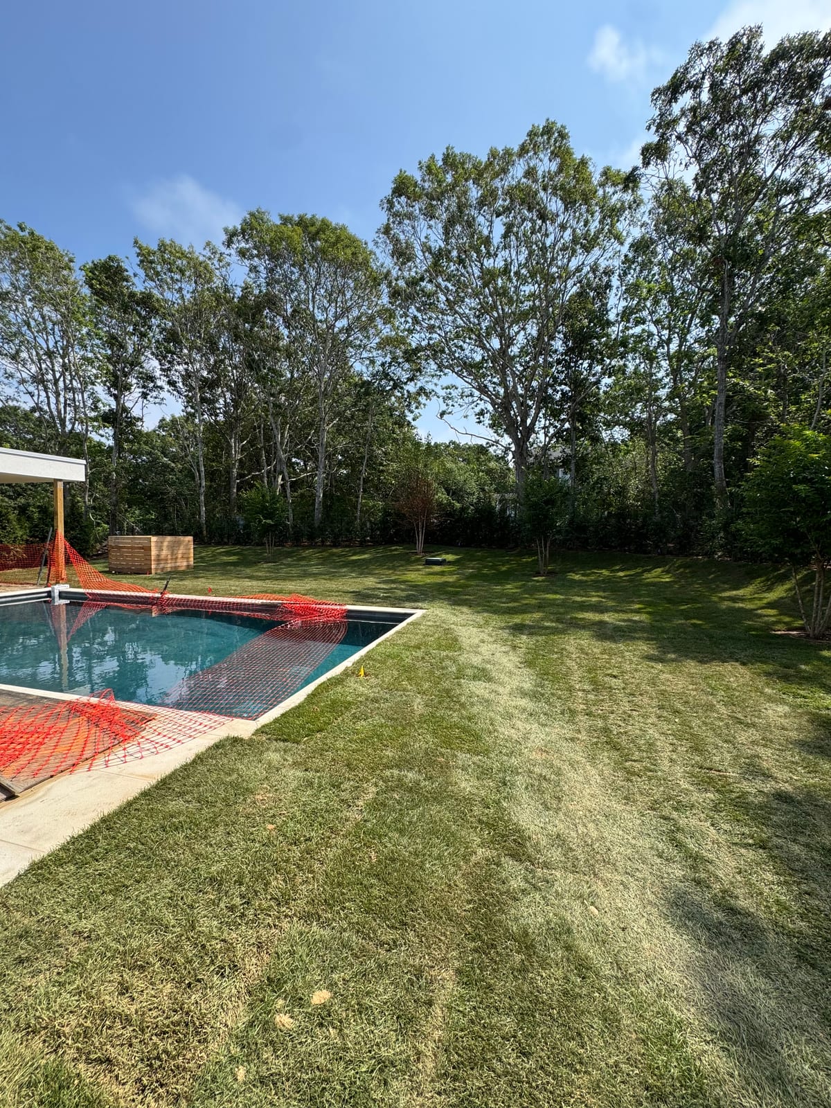 Finished sod lawn running from a pool patio to the tree line at a Montauk, New York new build
