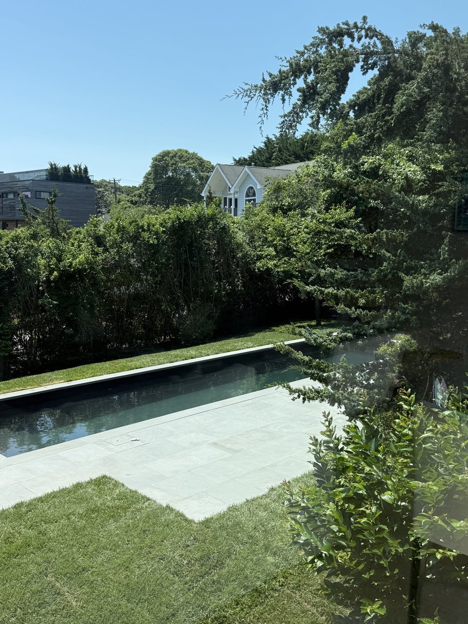 Finished tall fescue sod lawn wrapping a new lap pool and bluestone patio at a Montauk, NY estate, bordered by tall privacy hedges under a clear summer sky