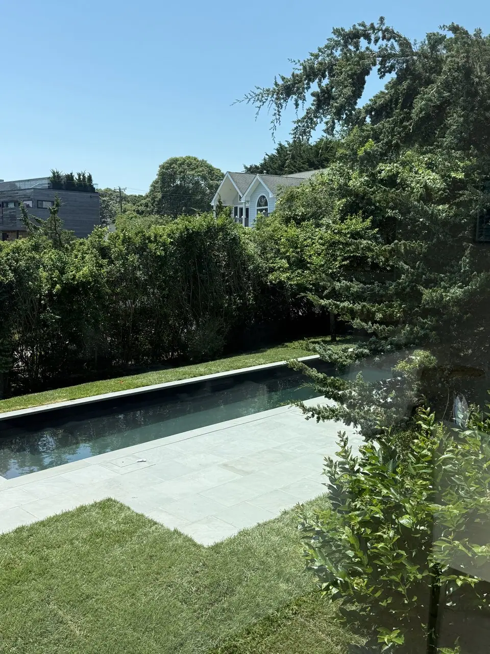 Finished tall fescue sod lawn wrapping a new lap pool and bluestone patio at a Montauk, NY estate, bordered by tall privacy hedges under a clear summer sky