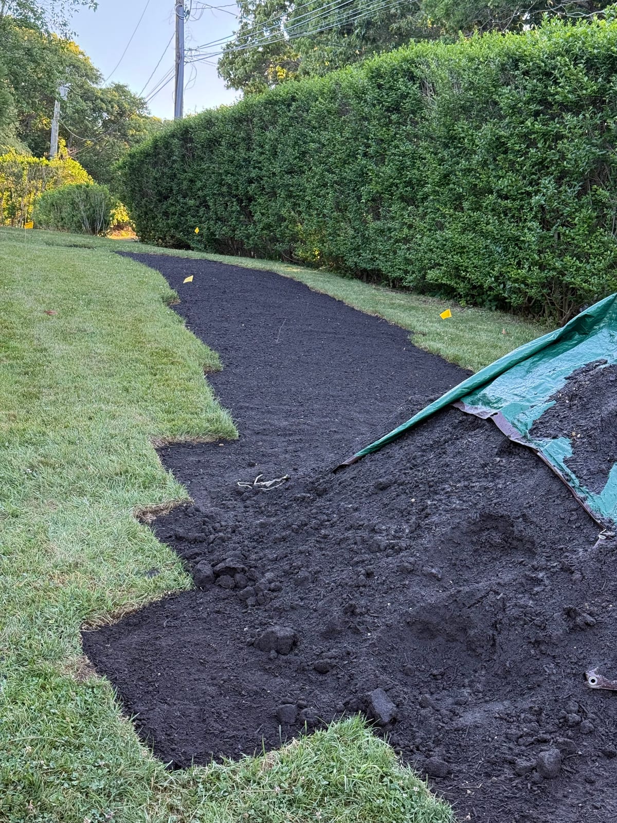 A strip of graded, sod-ready soil traced along a tall hedge line at a Montauk, NY property, edged clean against the existing lawn