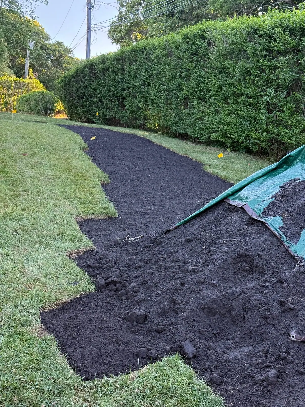 A strip of graded, sod-ready soil traced along a tall hedge line at a Montauk, NY property, edged clean against the existing lawn