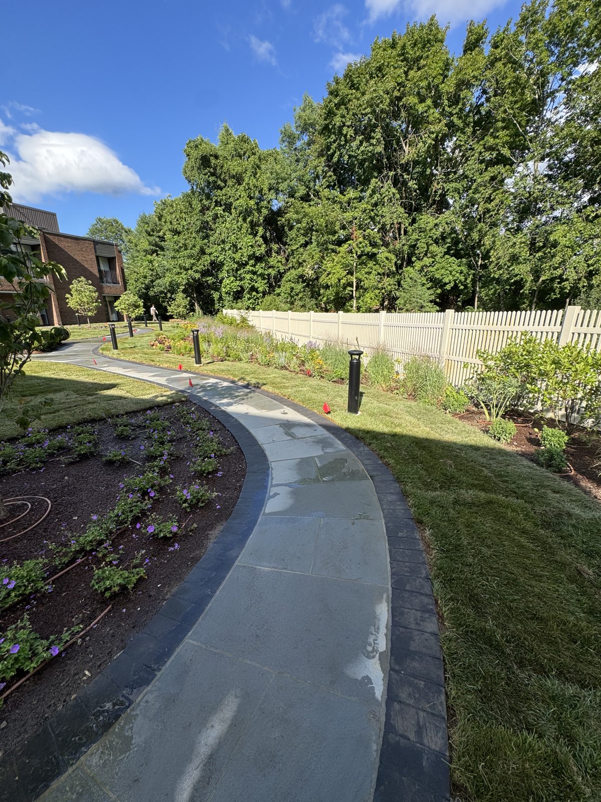 Curved path with flower beds and new Kentucky bluegrass sod in the sun at a New Canaan, CT commercial property