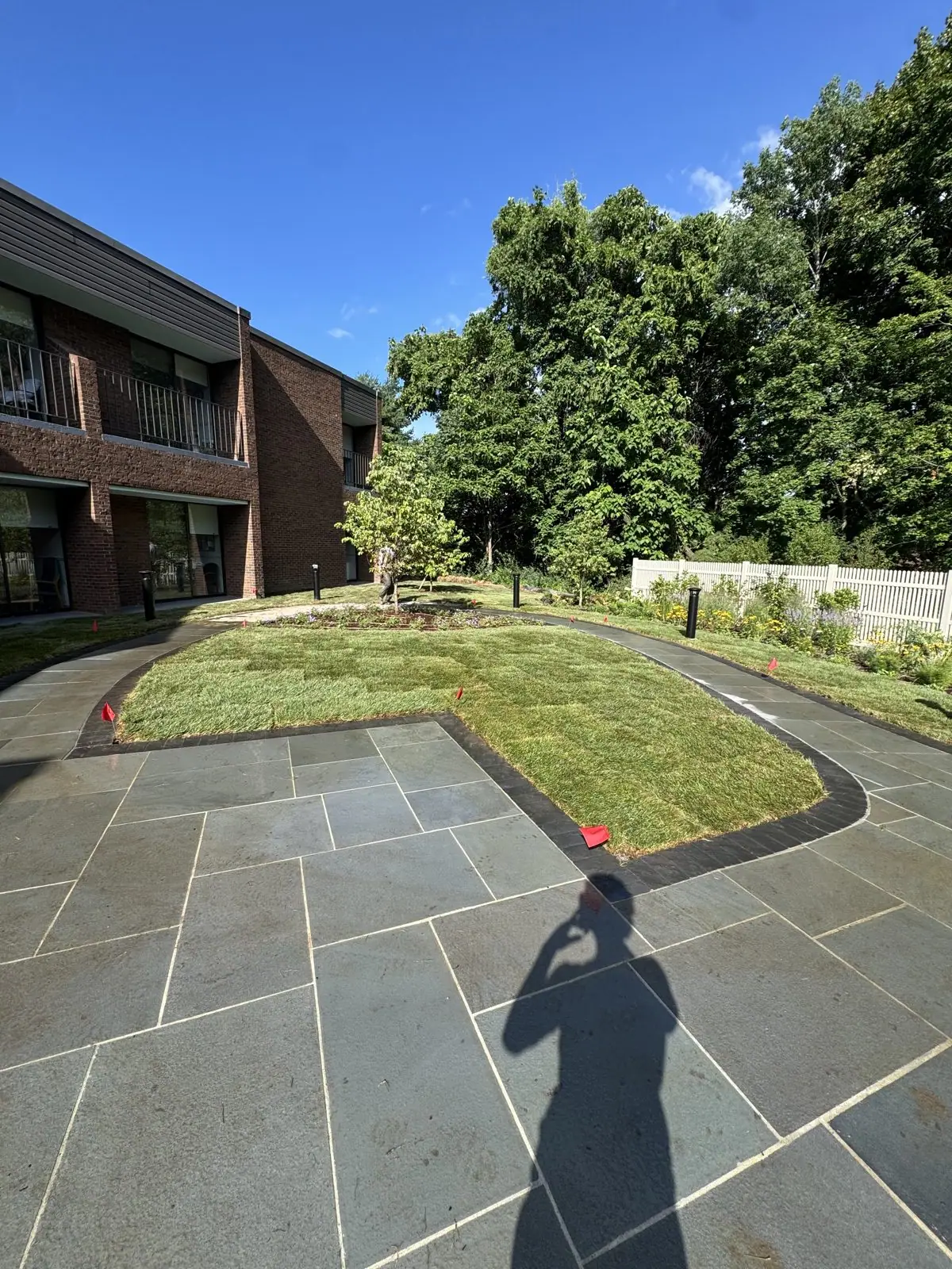 Fresh Kentucky bluegrass sod wrapping the new bluestone courtyard at a commercial property in New Canaan, CT