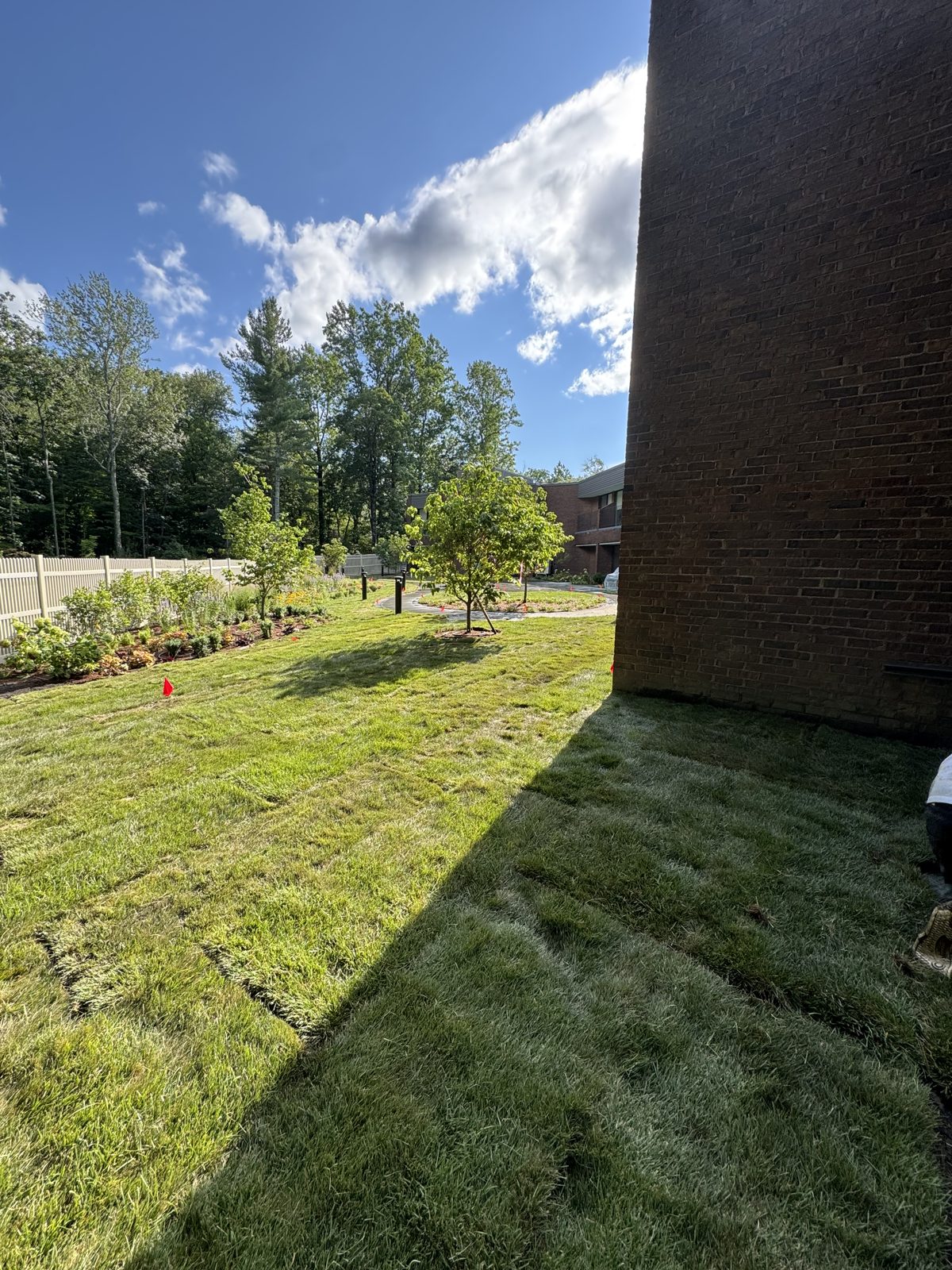 Fresh Kentucky bluegrass sod at the corner of a brick building in New Canaan, CT
