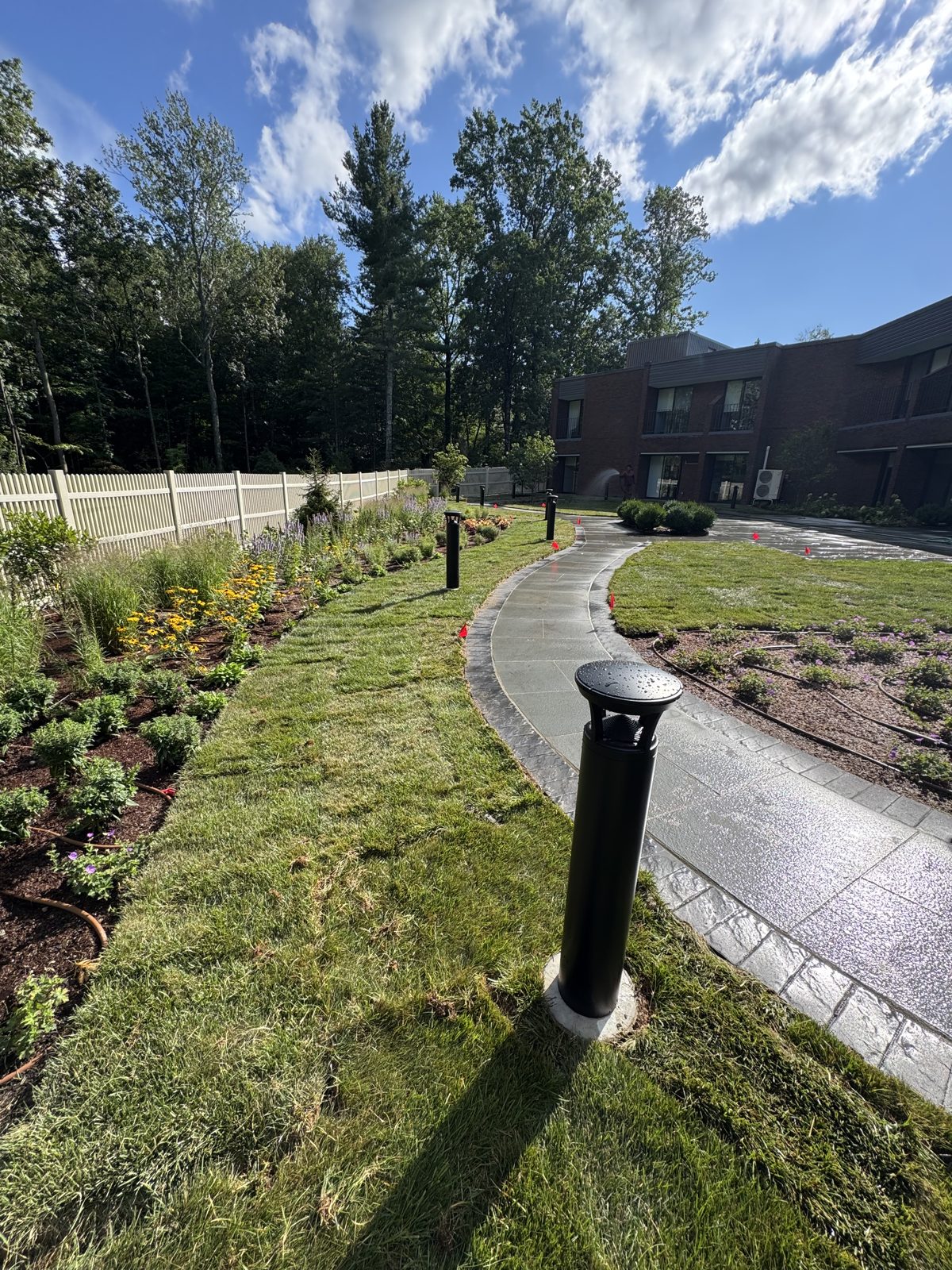 Curved bluestone walkway through fresh sod and perennial borders at a commercial property in New Canaan, CT