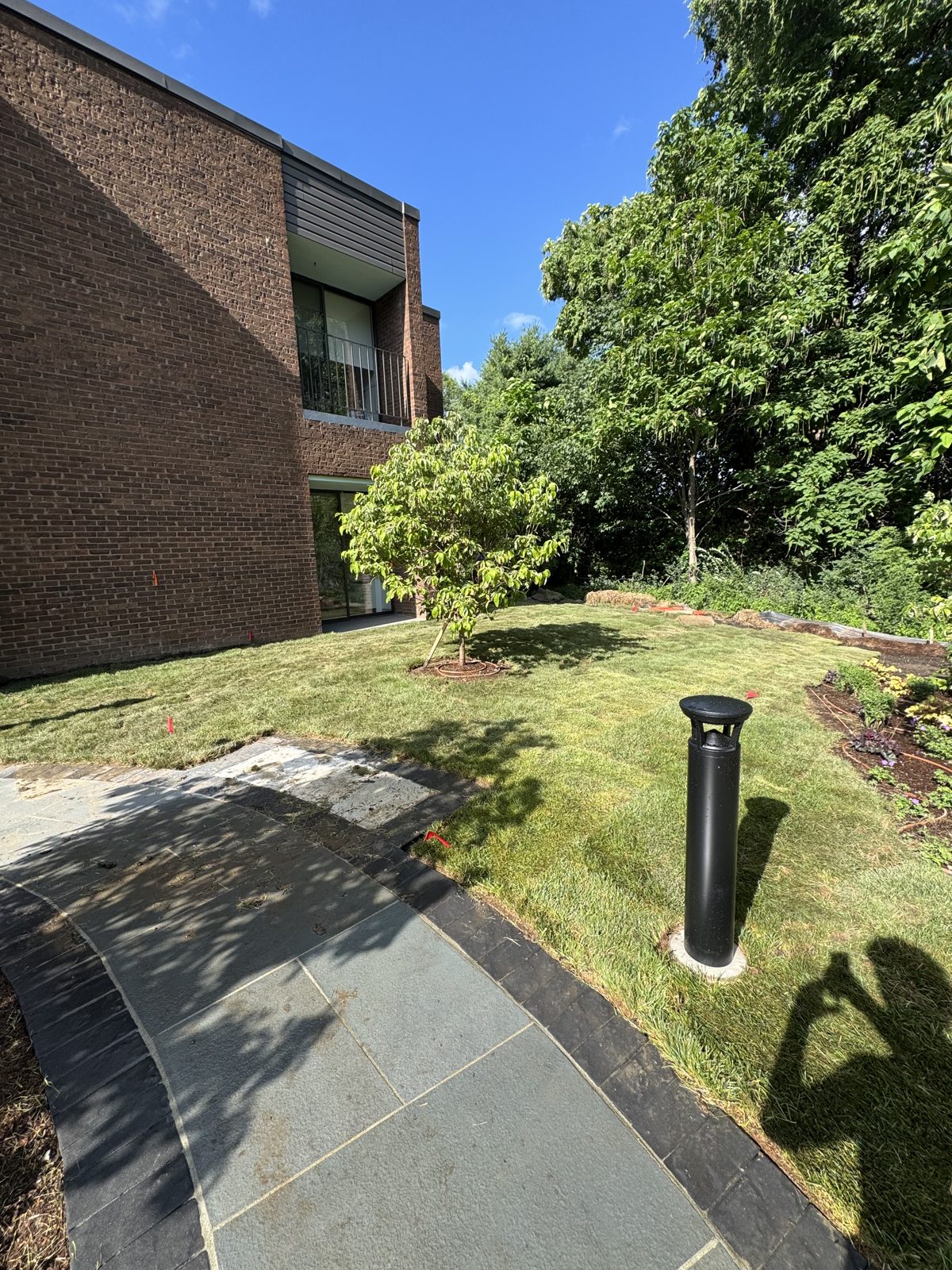 New sod lawn and young tree in the side yard of a New Canaan, CT commercial property