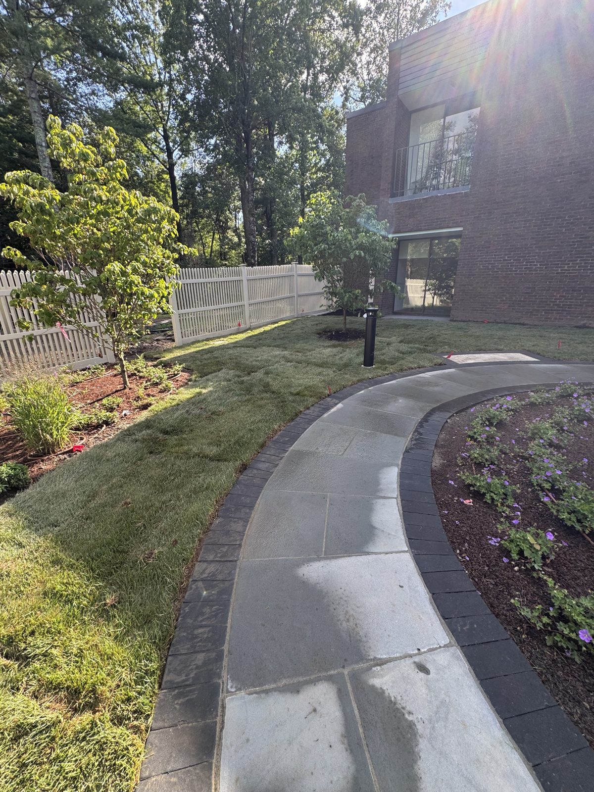 Fresh sod along the curved walkway with a white fence and new plantings in New Canaan, CT