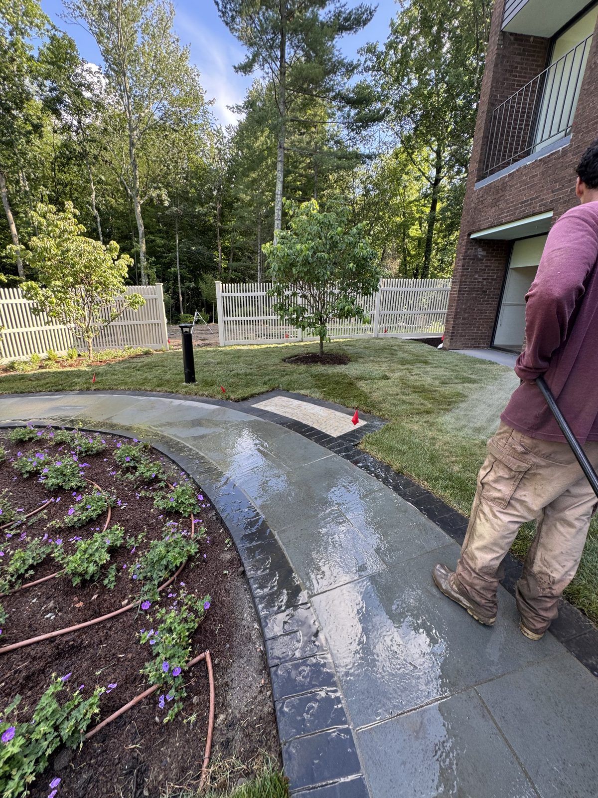 Crew member watering new sod beside the curved bluestone walkway and flower beds in New Canaan, CT