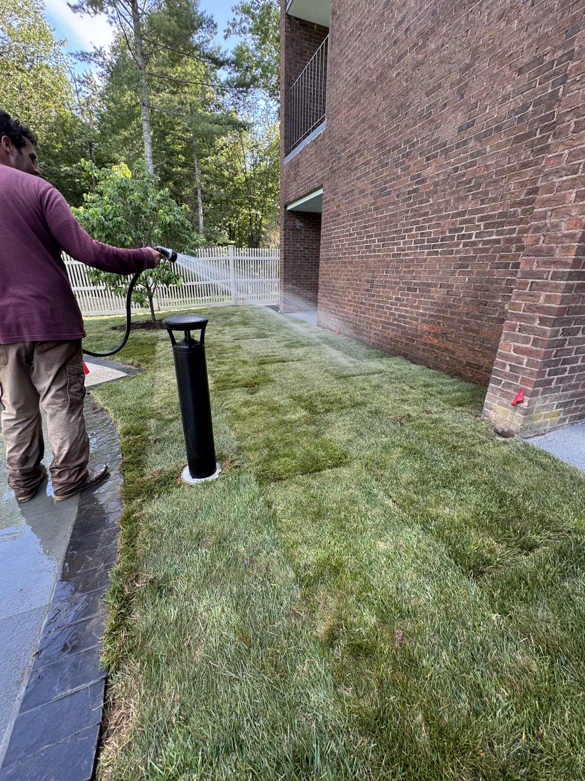 CT Sod crew member watering fresh Kentucky bluegrass sod along a brick wall at a New Canaan, CT commercial property