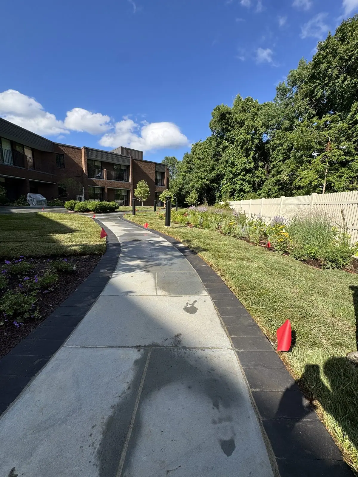Sunny next-day view of the finished bluestone walkway lined with new Kentucky bluegrass sod at a New Canaan, CT commercial property