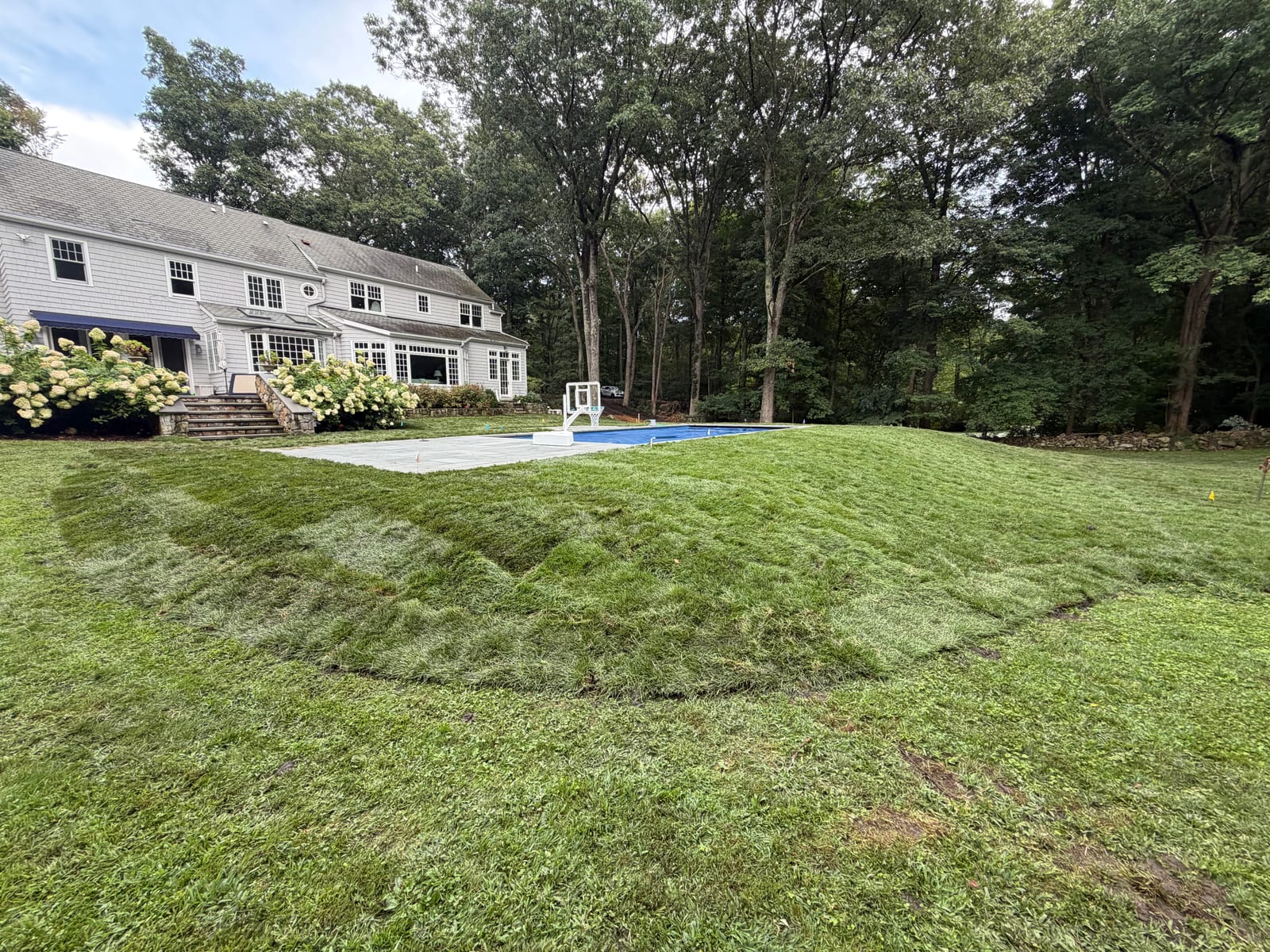 New sod across the rise beside the pool at the New Canaan, CT sod installation, with the house and covered pool beyond