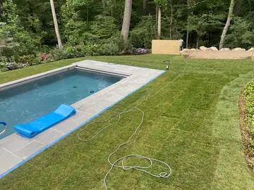 Can You Lay Sod During Watering Restrictions?