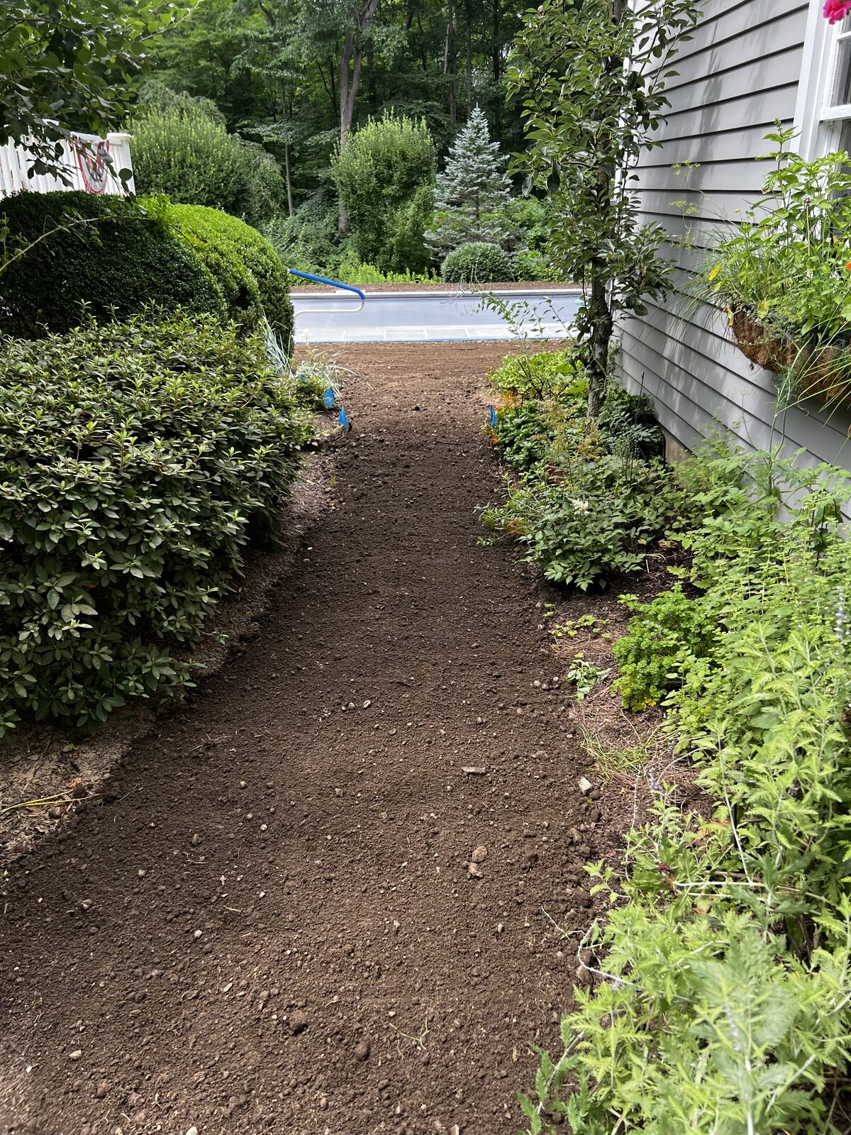 A narrow side-yard run between the house and a clipped hedge in New Canaan, CT, hand-graded to a sod-ready finish with the new pool visible beyond