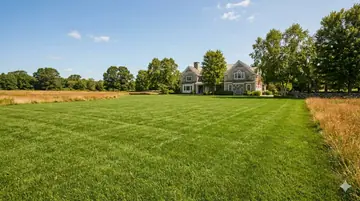 Best Drought-Tolerant Sod Varieties: Northeast Guide