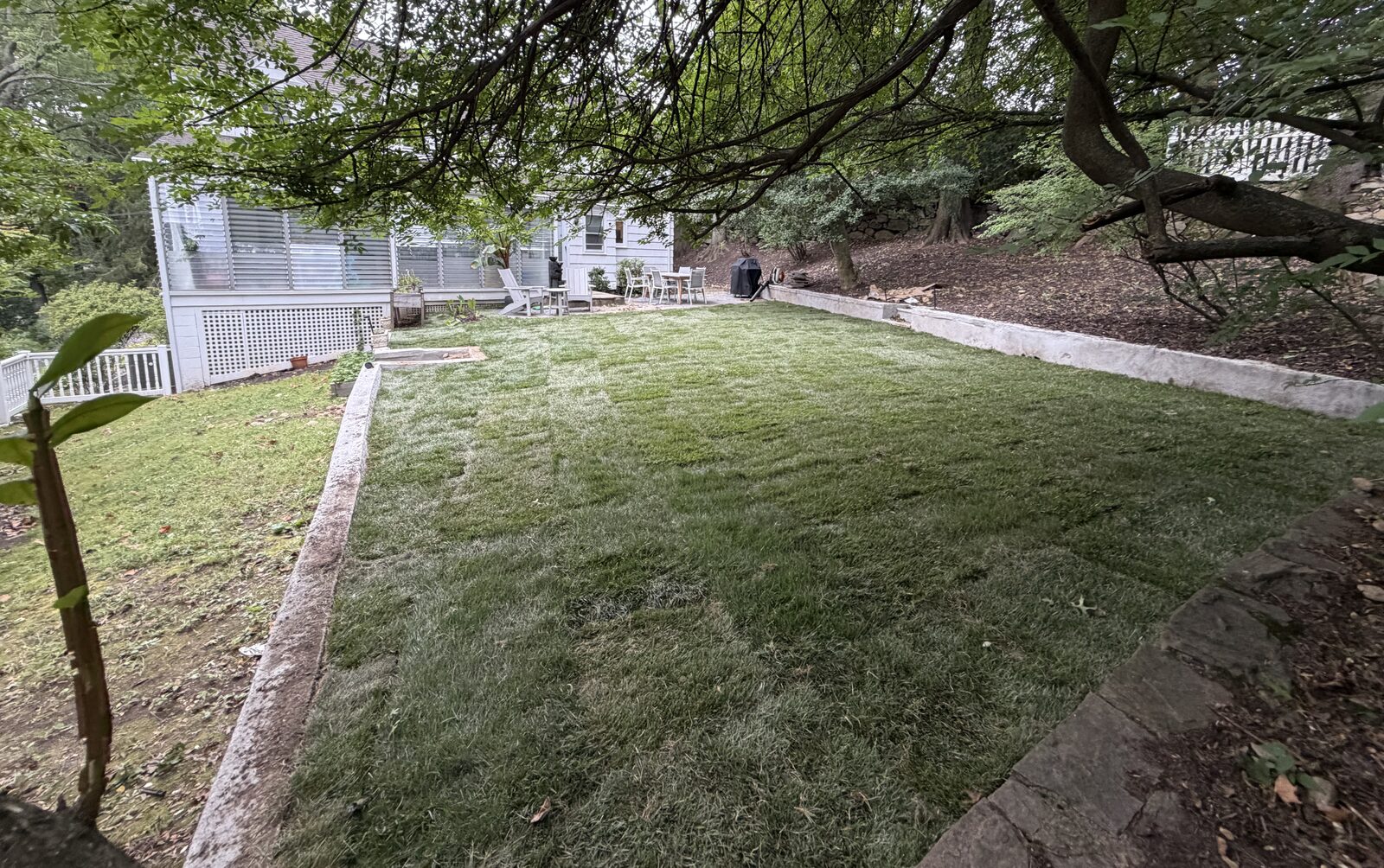 Finished sod installation across the shaded raised lawn between retaining walls in Norwalk, CT