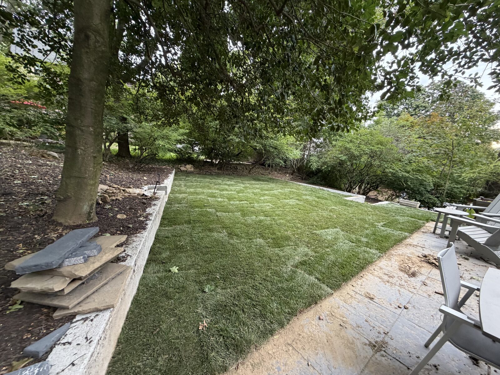 Fresh sod across the Norwalk lawn along the retaining wall, viewed from the patio