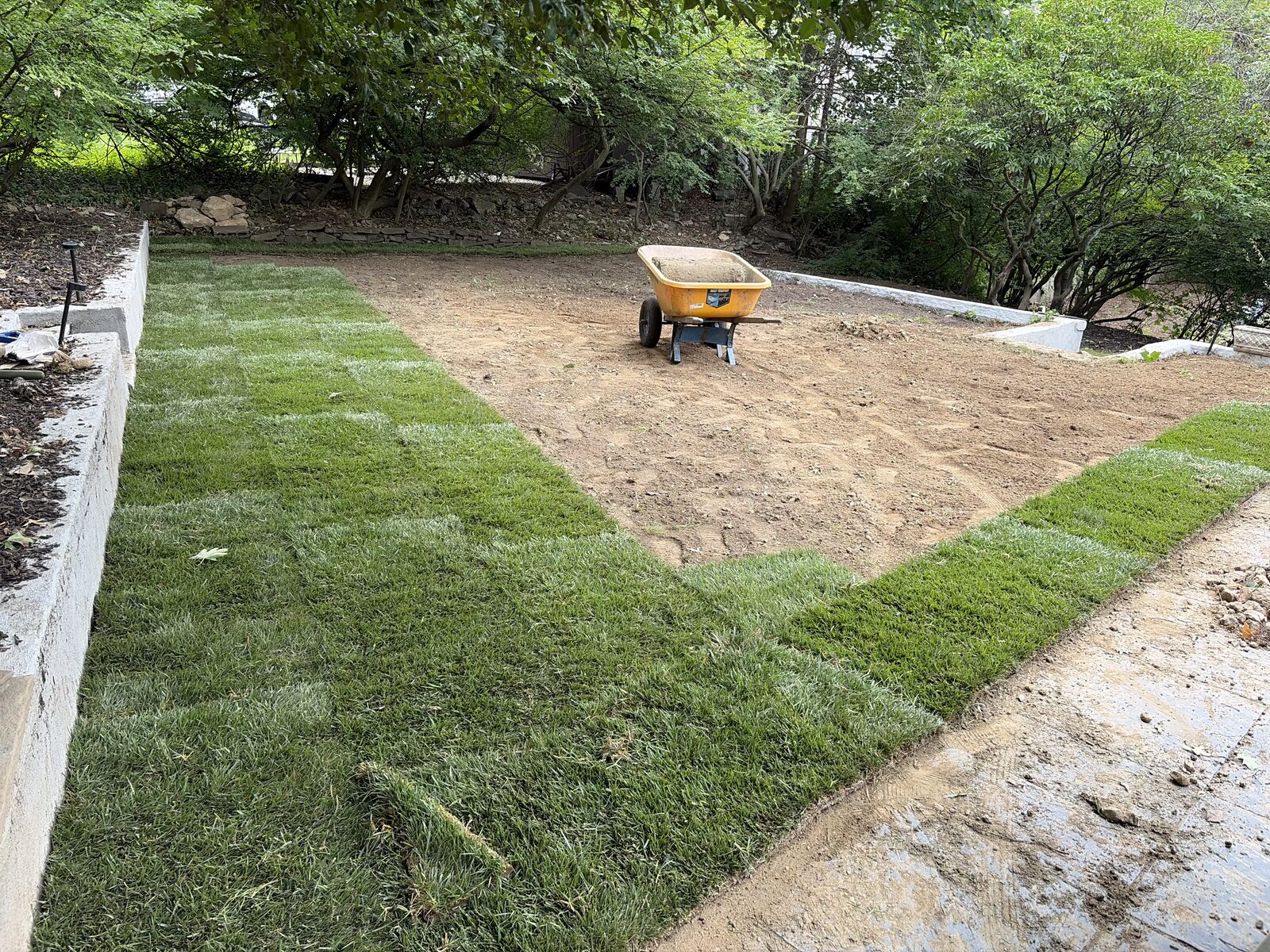 Sod along retaining walls with bare ground and a wheelbarrow still in the center during installation in Norwalk, CT