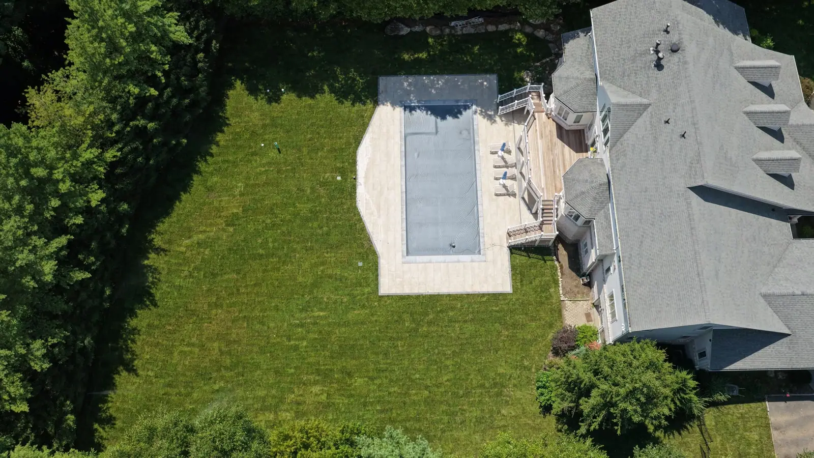 Fresh Kentucky bluegrass sod running up to the pool deck at a Purchase, NY estate after installation