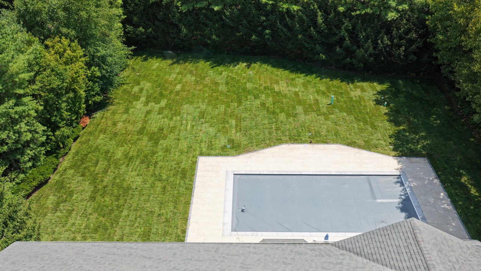 Overhead view of a finished 12,000 sq ft Kentucky bluegrass lawn surrounding a new pool in Purchase, NY