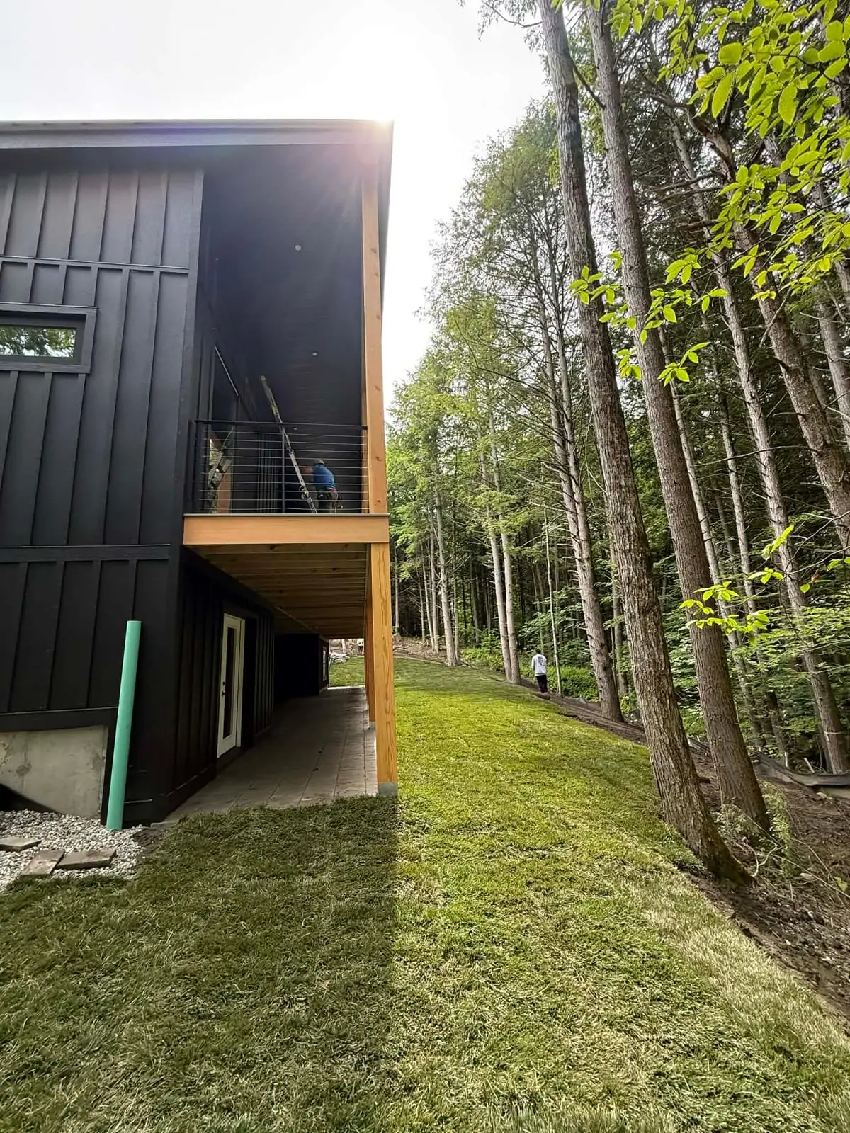 Sunlit finished tall fescue sod lawn beside the modern black home and tall pines in Hartford, VT (Quechee)