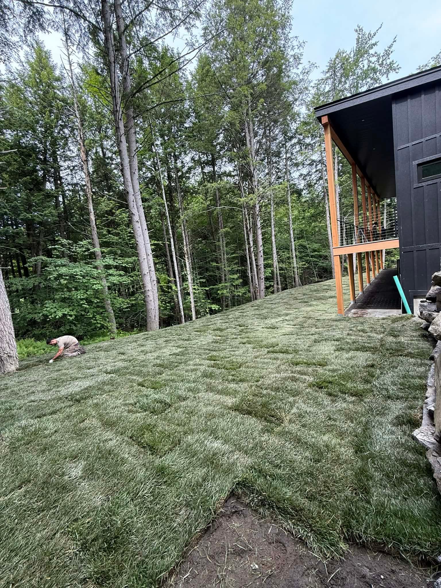 A CT Sod crew member detailing the edge of the finished tall fescue slope, the new lawn carpeting the hillside green by mid-afternoon