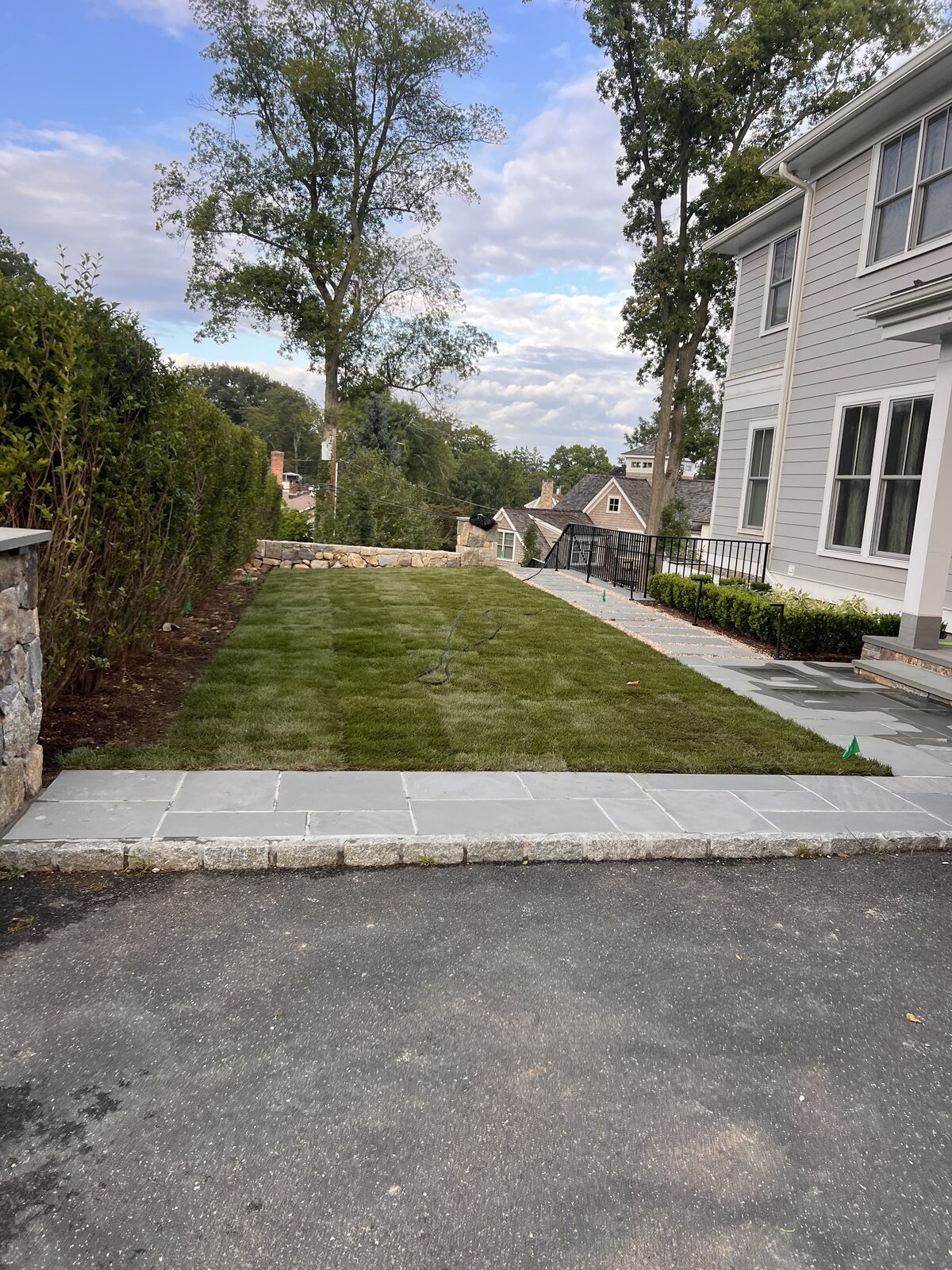 Fresh Kentucky bluegrass sod between a stone wall and bluestone patio in the backyard of a Riverside, CT home