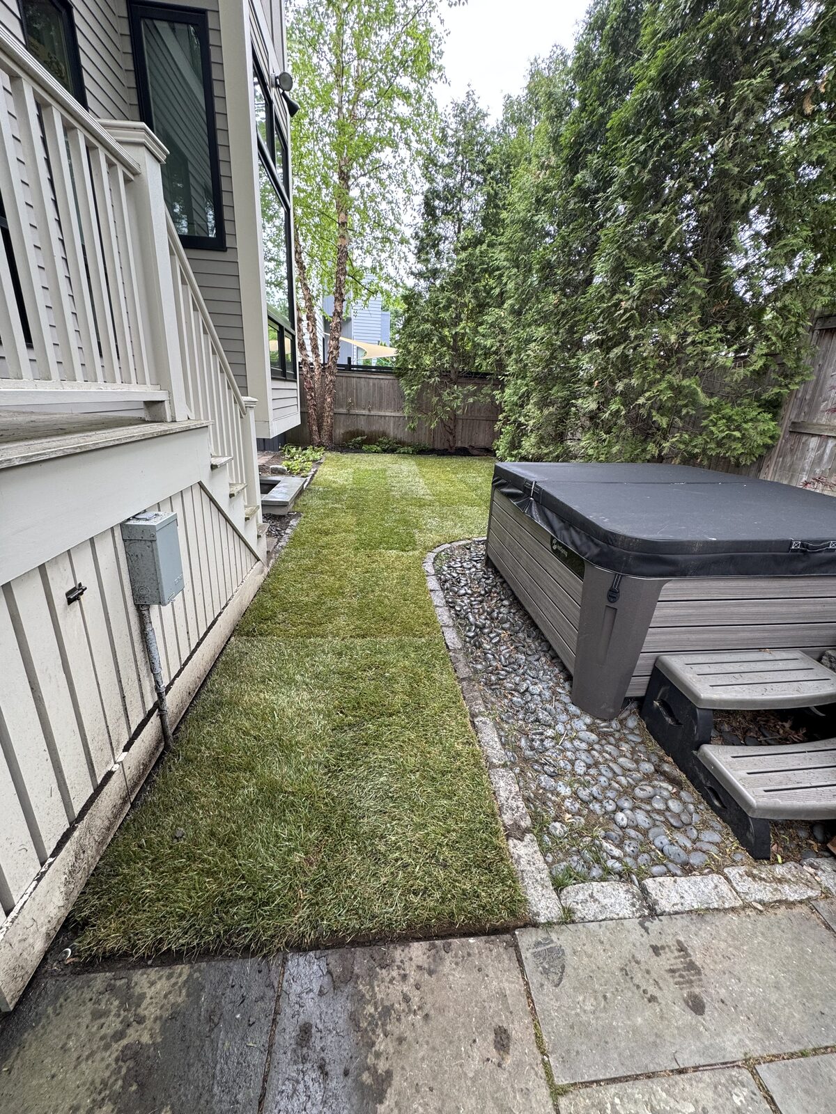 Fresh sod seams installed tight along the foundation of a Cambridge, MA home