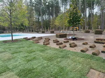 How to Order Sod in the Northeast: Complete Industry Reference