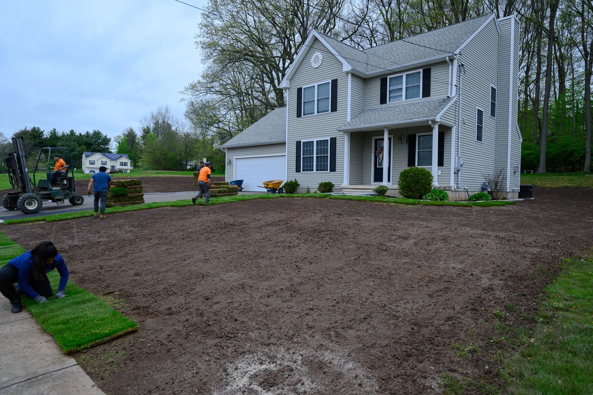 Fresh-cut sod installed on a Darien, CT property