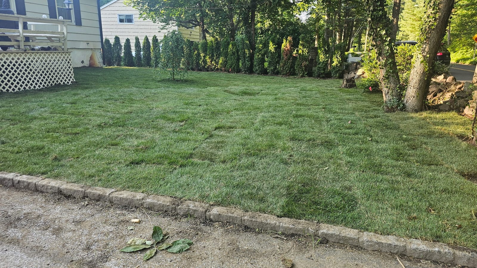 Finished Kentucky bluegrass lawn in front of a Stamford, CT home, deep green turf edged by a granite Belgian-block curb and an arborvitae hedge