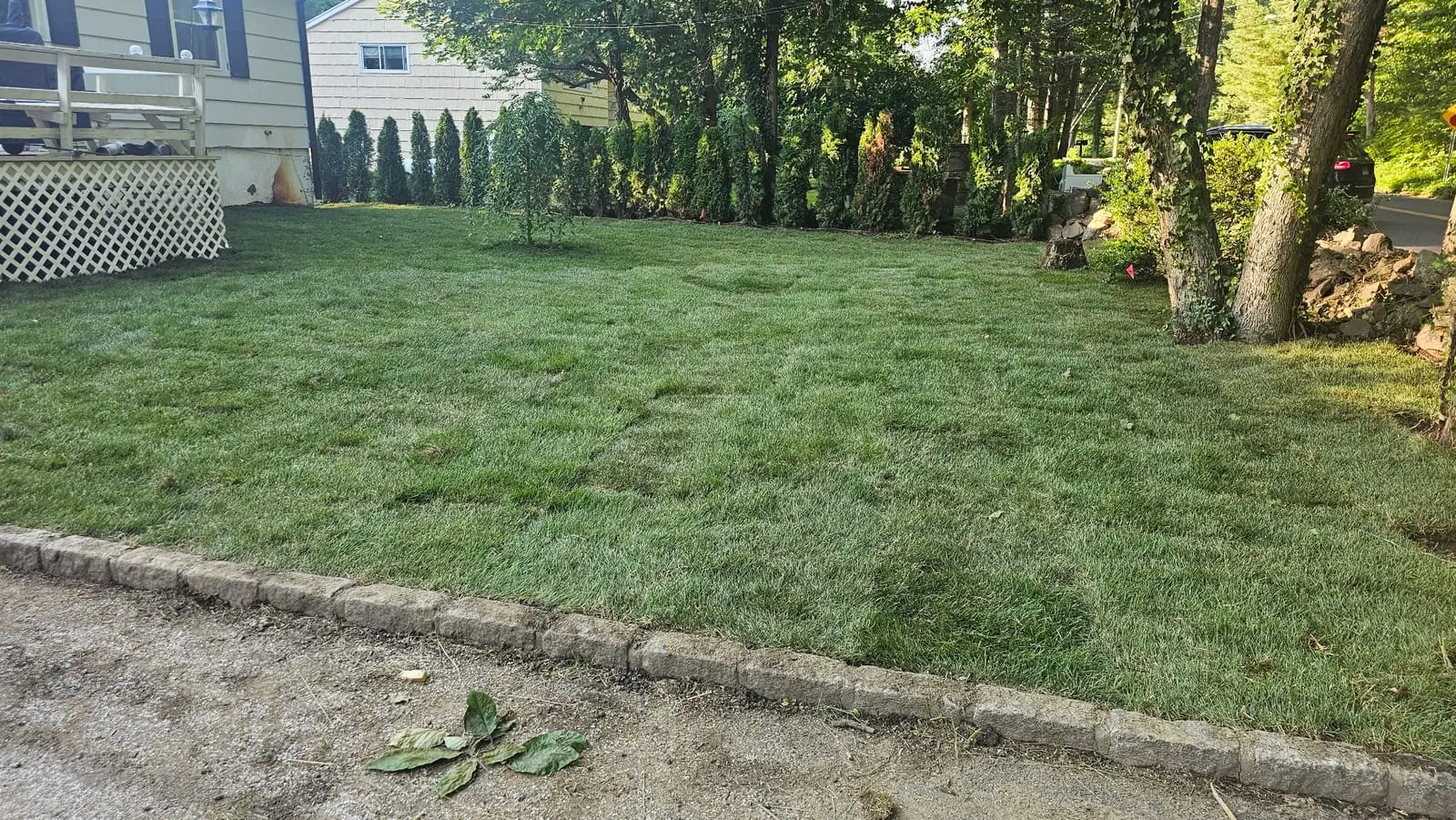 Fresh Kentucky Bluegrass sod across the front lawn of a Stamford, CT home