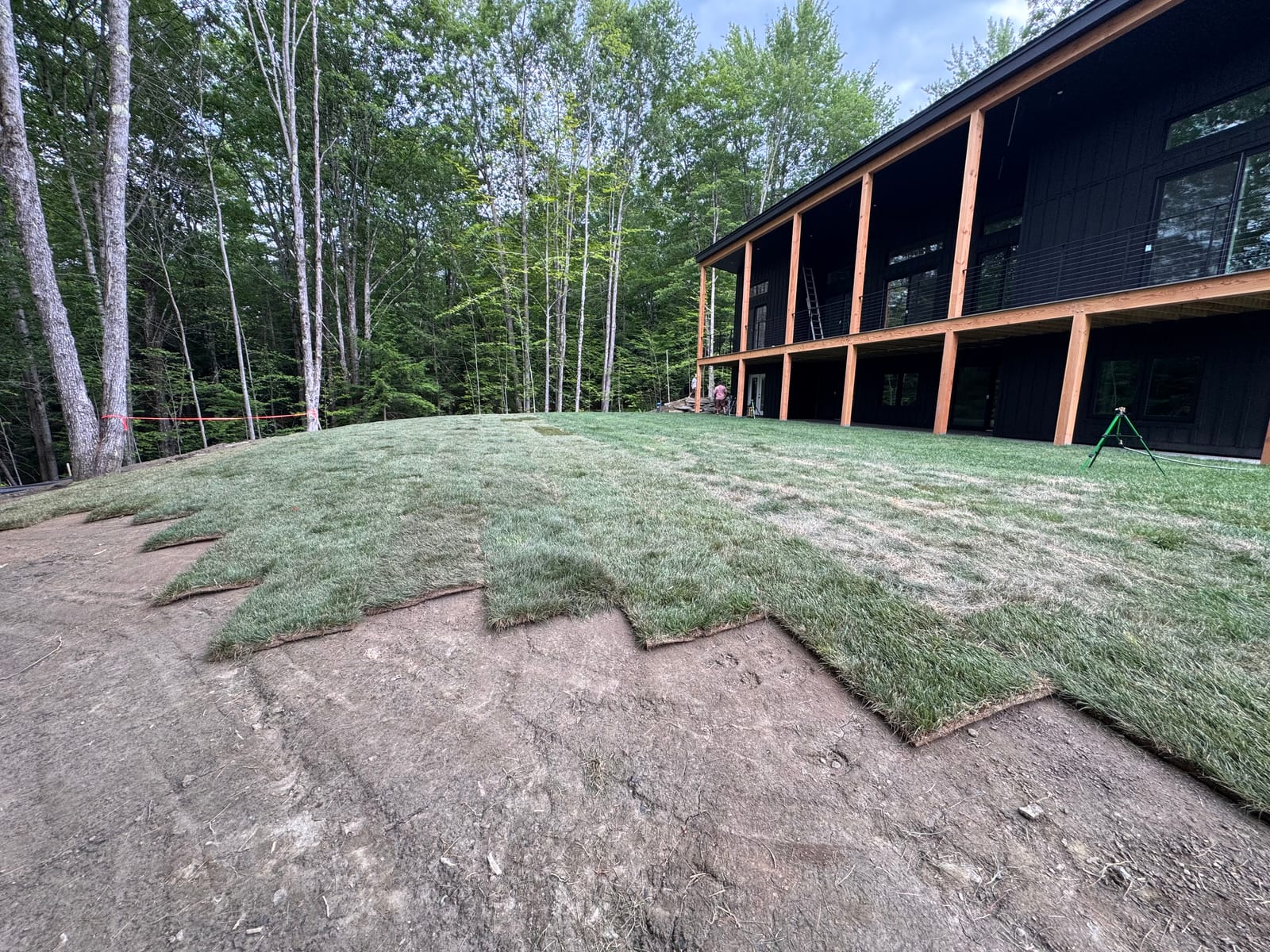 Tall fescue sod going down across a graded pad in front of a modern black Vermont home, bare dirt still bordering the new lawn under full summer sun
