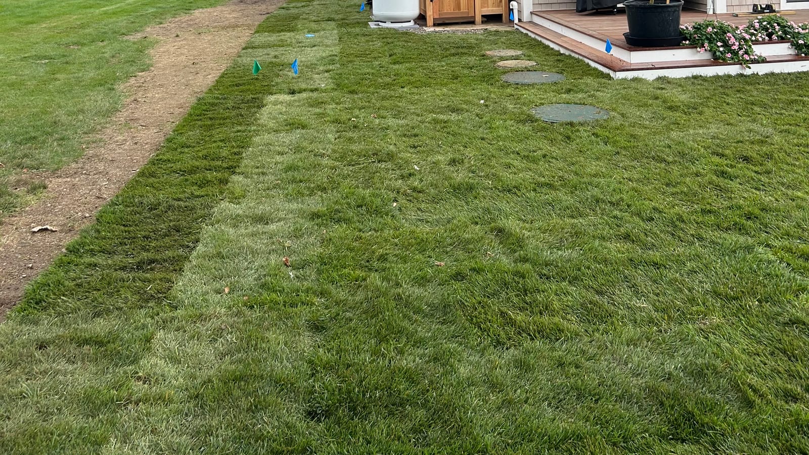Fresh-cut sod finished along the side yard of a Warren, RI village home, running from the back deck to the front — a real CT Sod job