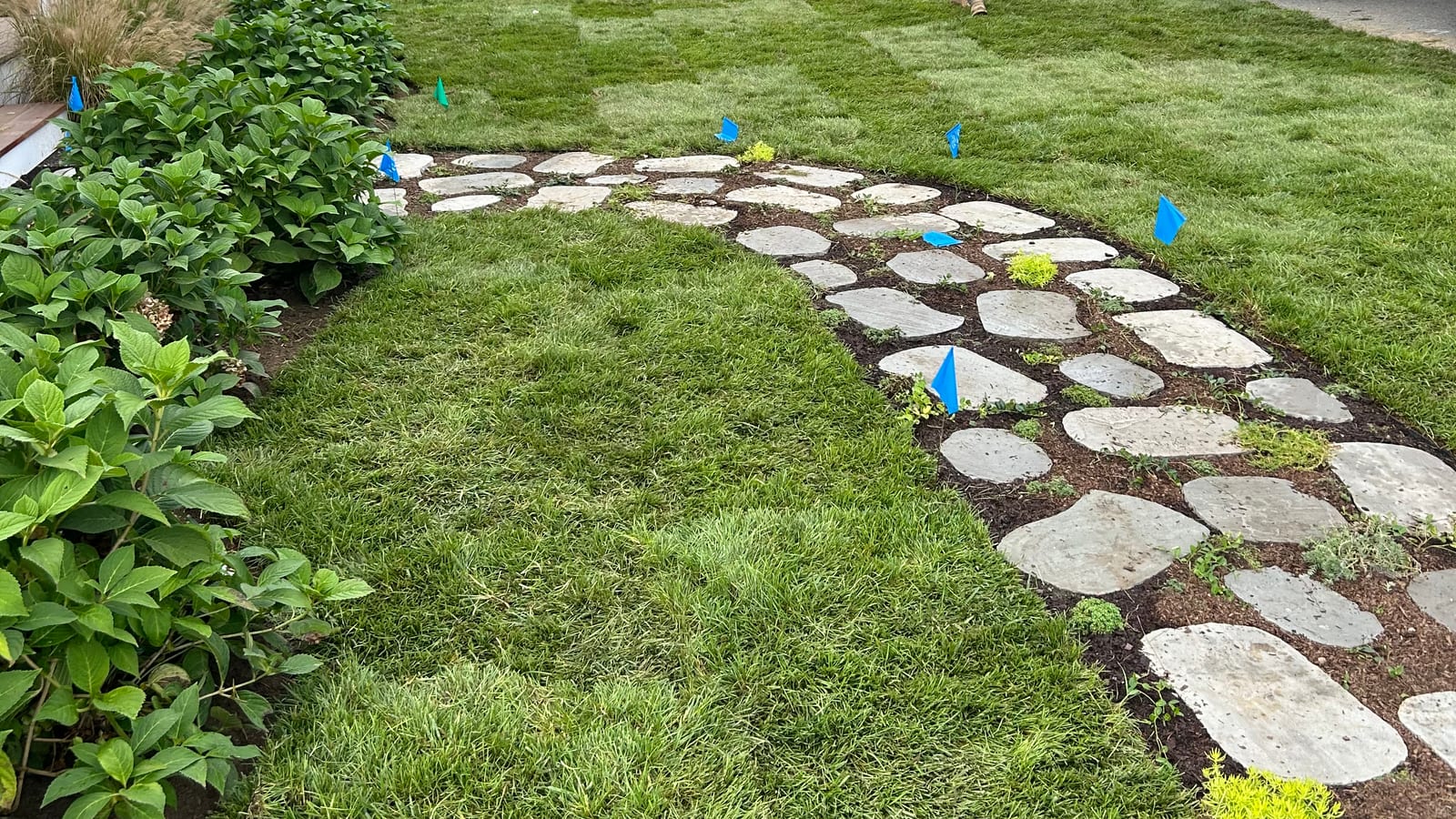 2,600 Sq Ft Sod Prep and Installation in Warren, RI