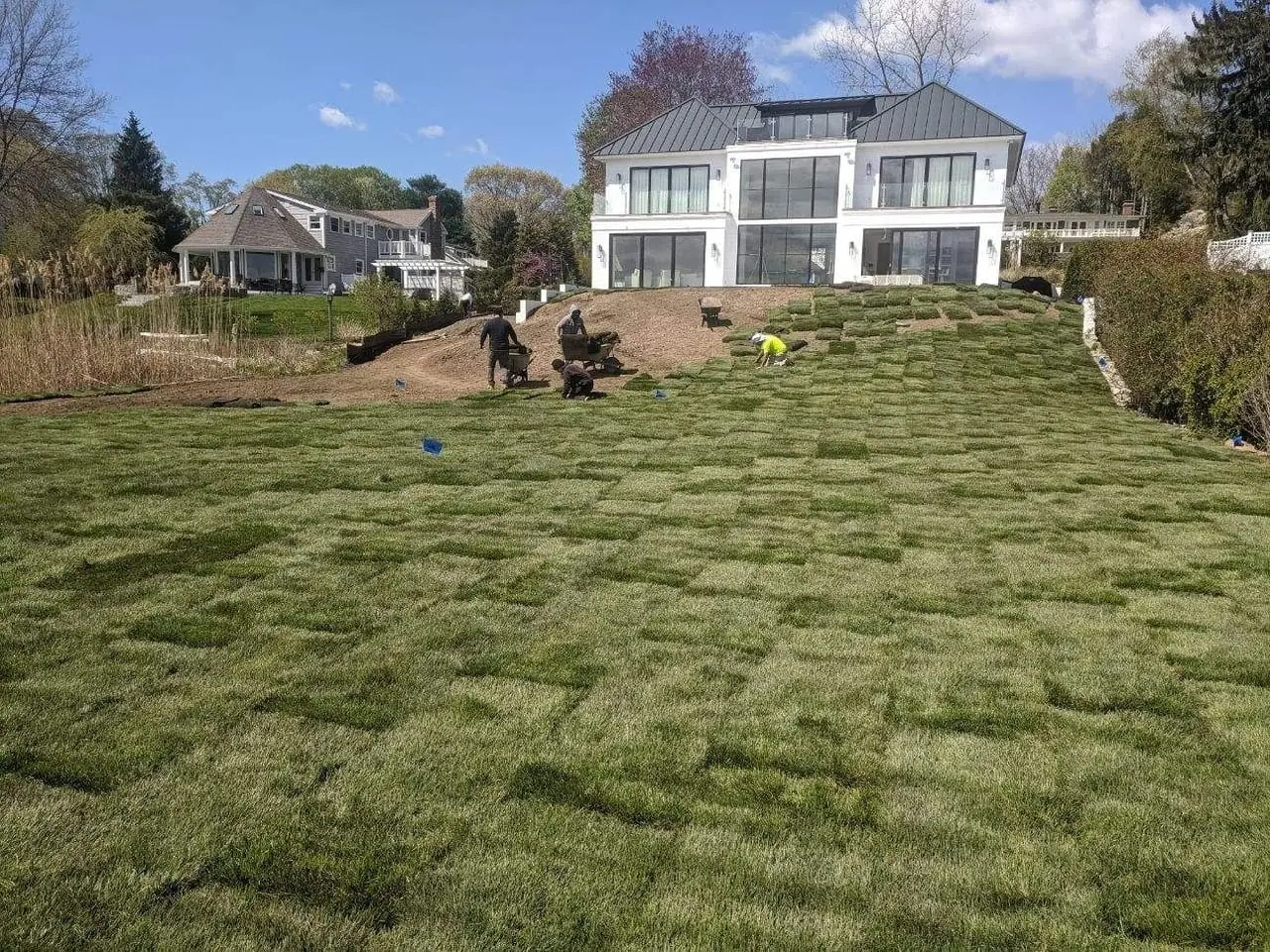 CT Sod crew laying fresh sod across a waterfront estate lawn