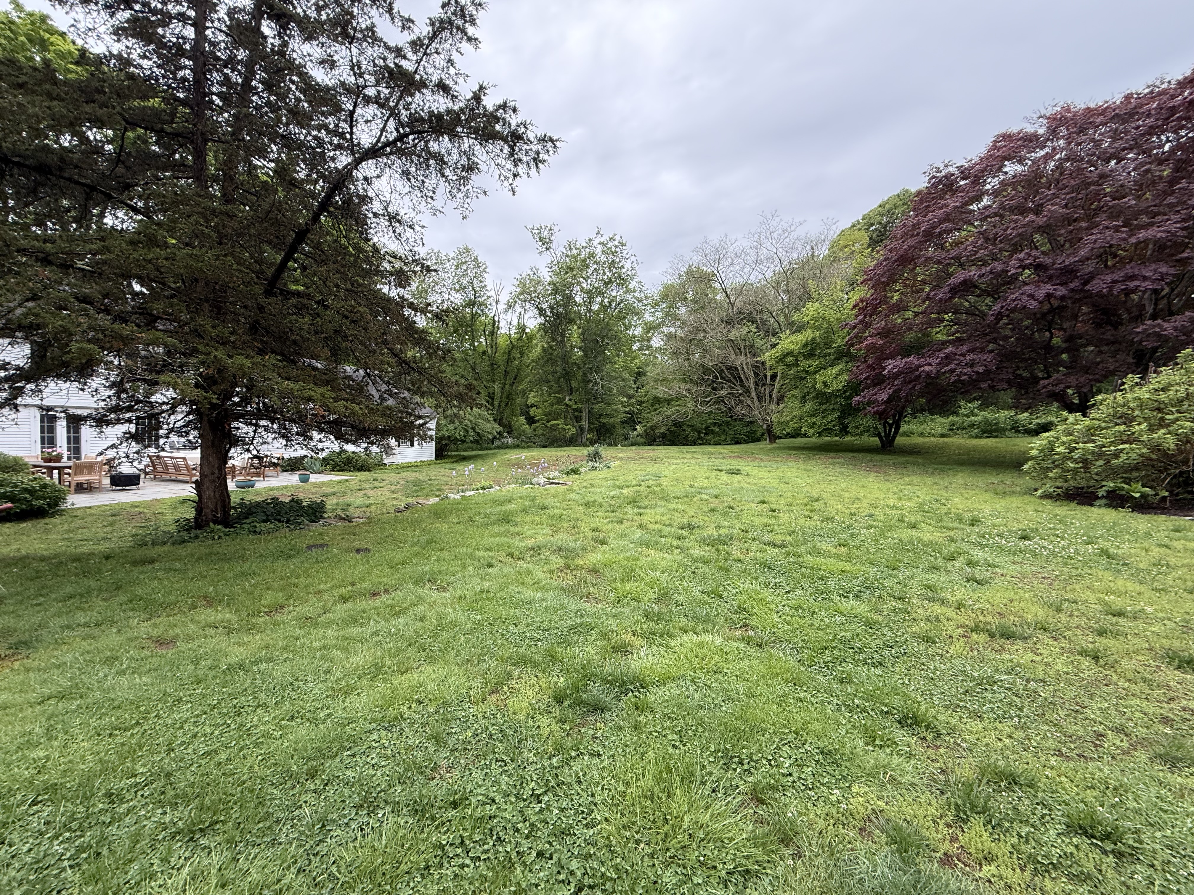 Westbrook CT backyard before sod prep — tired existing lawn with bare spots and weed pressure framed by mature trees