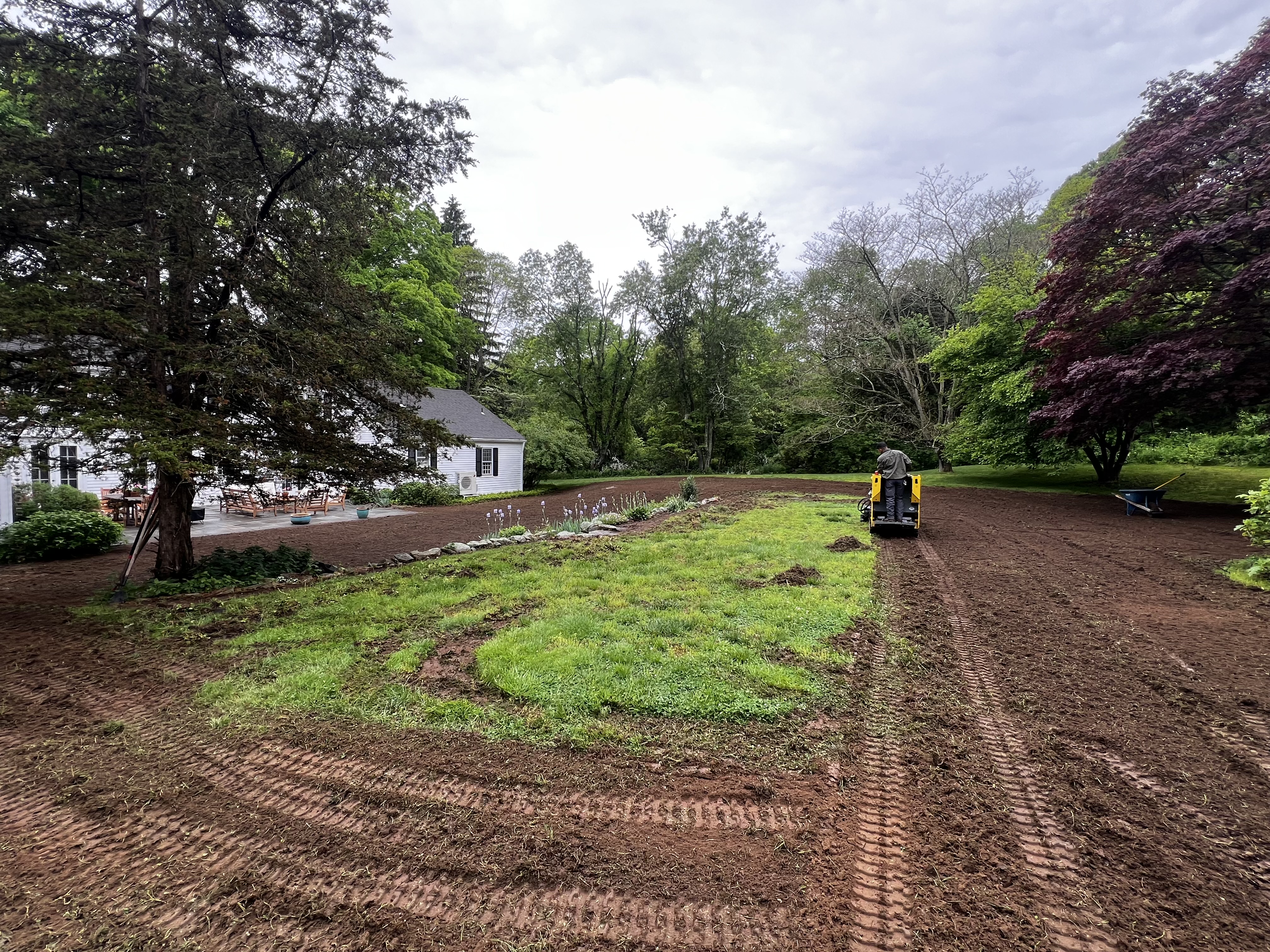 6,000 sqft sod prep in Westbrook CT — CT Sod crew machine-tilling and removing the old lawn with a Wacker Neuson mini track loader