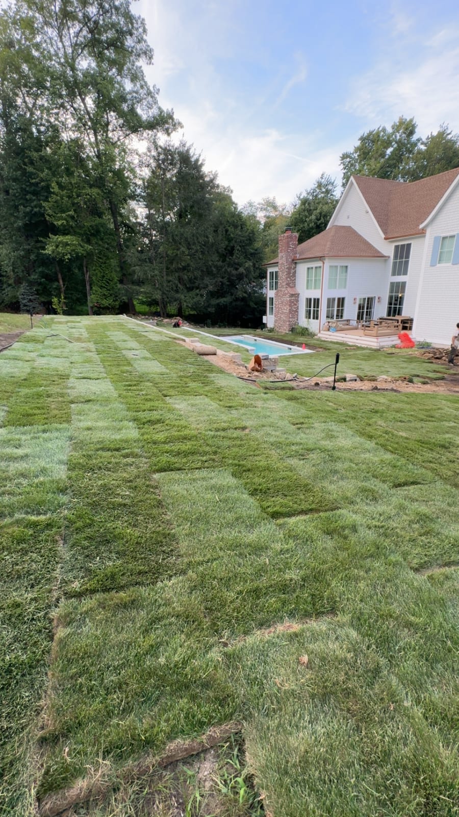 Wide view of the Westport backyard mostly covered in fresh sod by early evening, with the house and pool in the background