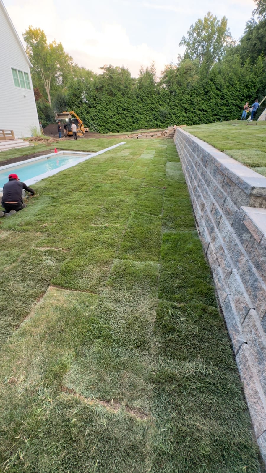 CT Sod crew hand-fitting fresh-cut Kentucky bluegrass sod along the pool edge of a Westport property on Friday evening