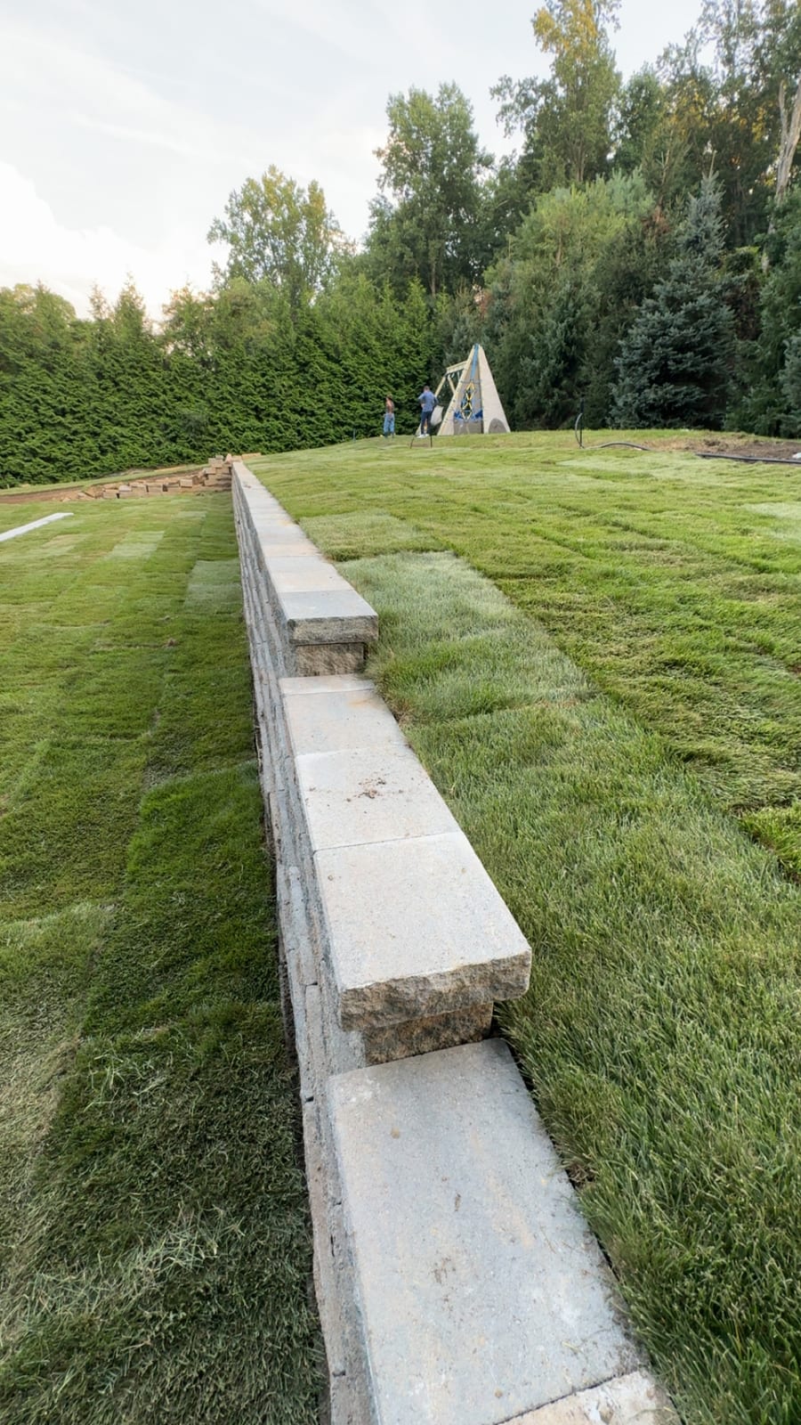 Premium bluegrass mix sod covering both tiers of a Westport backyard, above and below the stone retaining wall, on installation evening