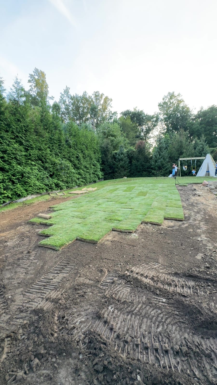Fresh sod rows checkerboarding across the upper lawn in Westport with graded dirt still exposed in the foreground
